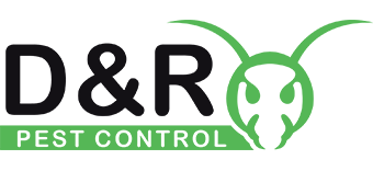 pest control luton