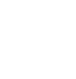 Pest control essex
