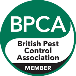 pest control essex